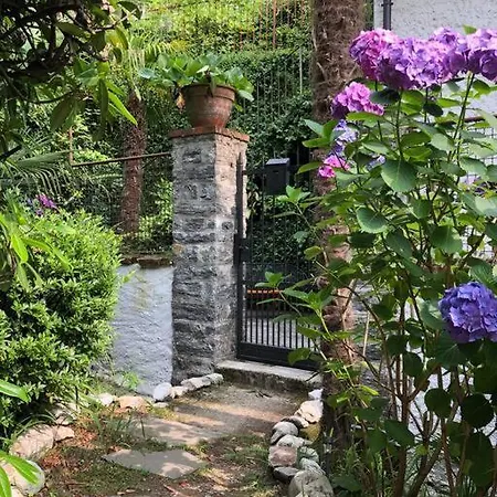 Ciao Lago: Front Row View Oggebbio