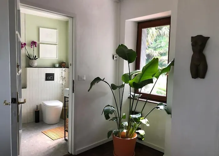 Ciao Lago: Front Row View * Oggebbio