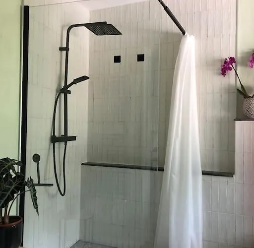 Ciao Lago: Front Row View * 오게비오