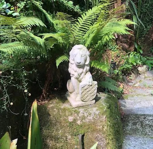 Ciao Lago: Front Row View Apartament